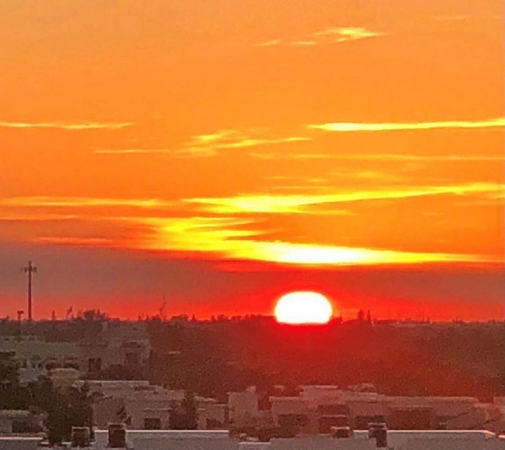 1160 N Federal Highway, Unit 716, Fort Lauderdale, FL 33304 Photo