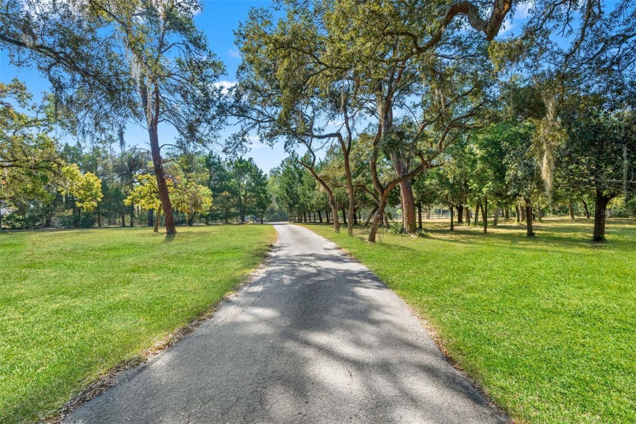 9615 Eden Avenue, Hudson, FL 34667 Photo