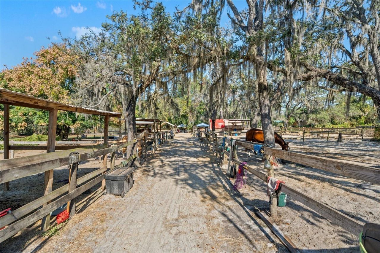 9615 Eden Avenue, Hudson, FL 34667 Photo