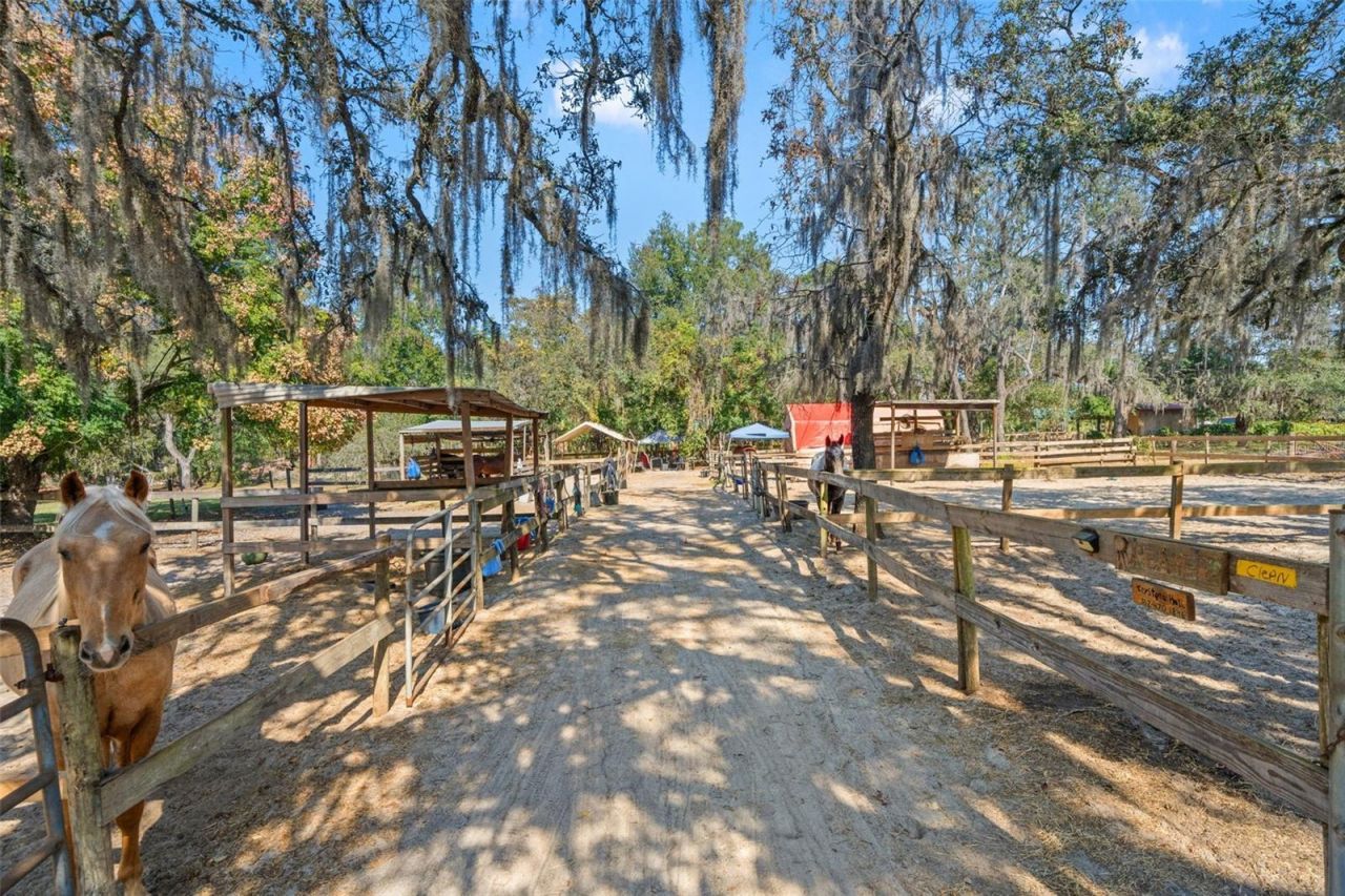 9615 Eden Avenue, Hudson, FL 34667 Photo