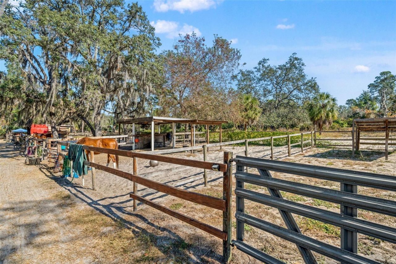 9615 Eden Avenue, Hudson, FL 34667 Photo