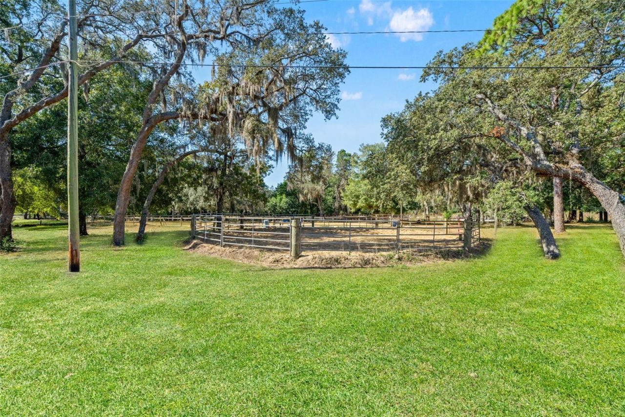 9615 Eden Avenue, Hudson, FL 34667 Photo