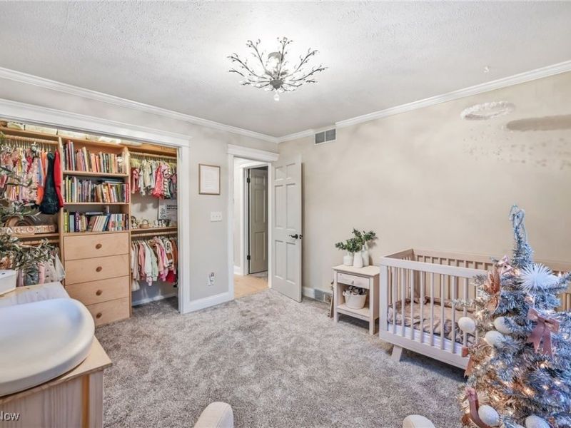 264 Pheasant Run Road SE, Warren, OH 44484 Photo 26