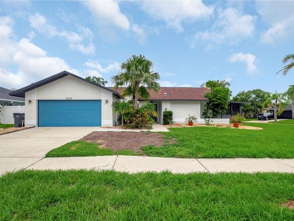 8635 CHADWICK DRIVE, TAMPA, FL 33635