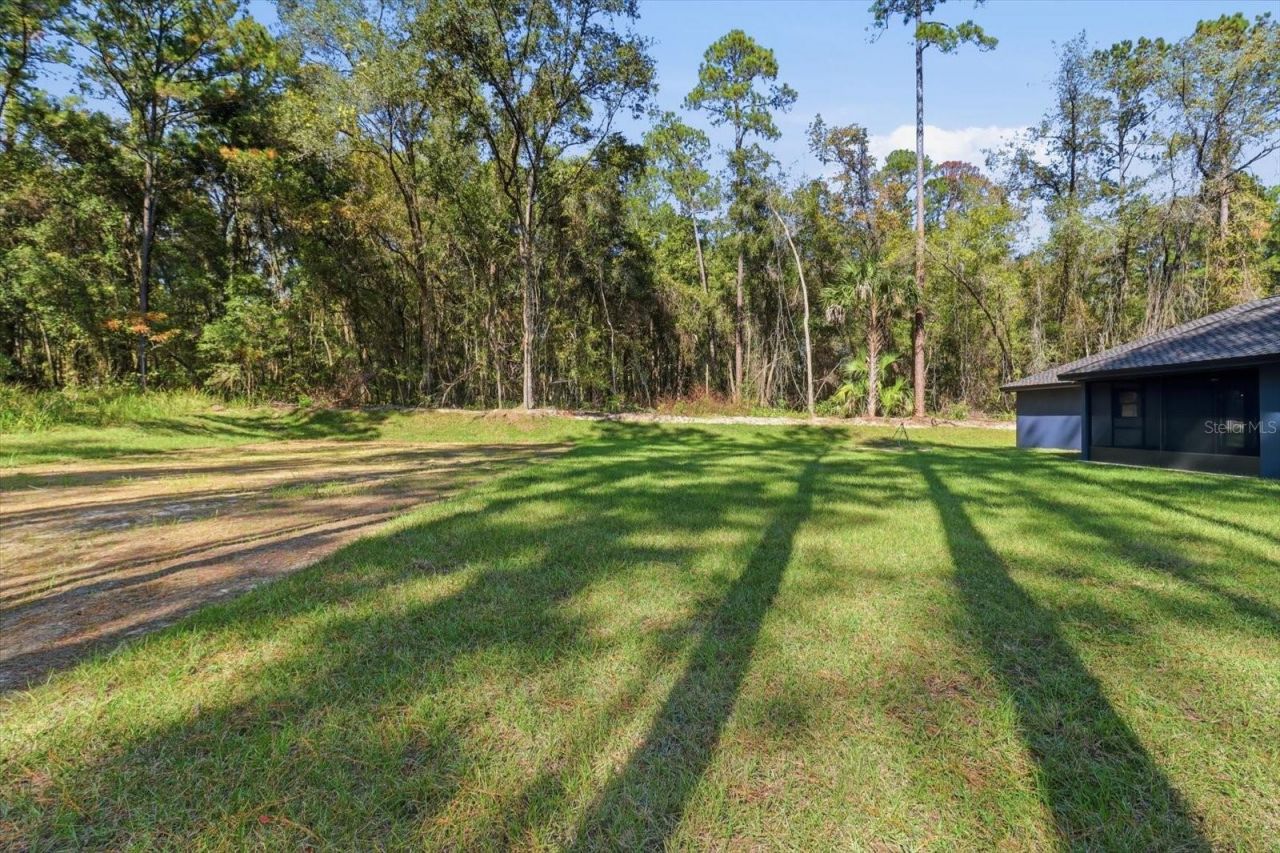 9802 N Athenia Drive, Citrus Springs, FL 34434 Photo