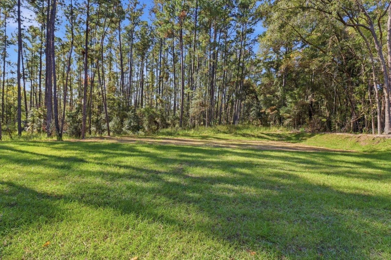 9802 N Athenia Drive, Citrus Springs, FL 34434 Photo