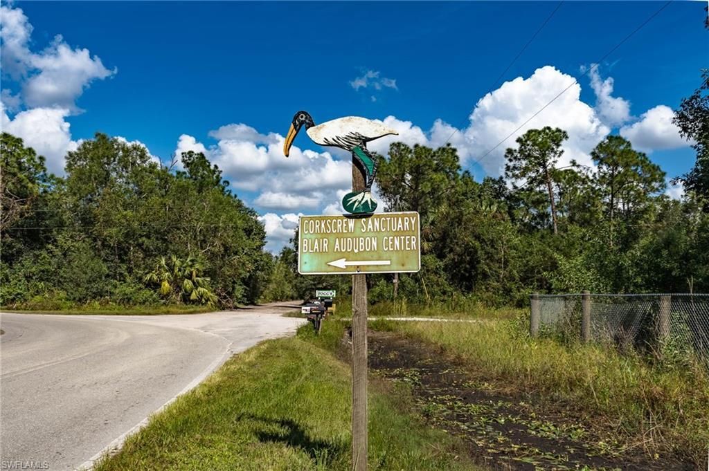 Sanctuary Road, Naples, FL 34120 Photo