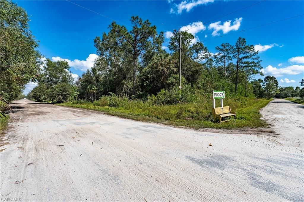 Sanctuary Road, Naples, FL 34120 Photo