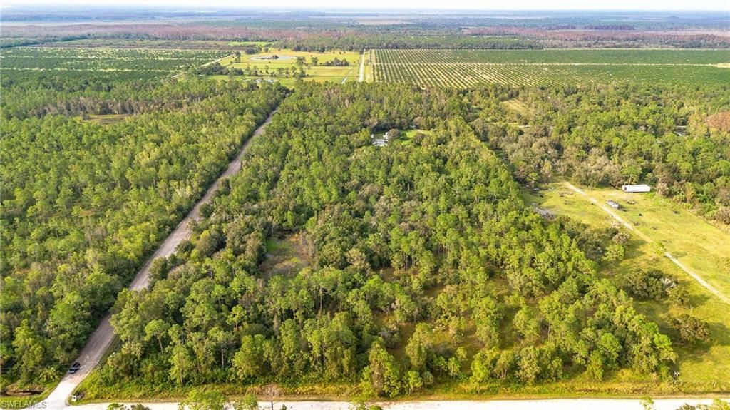 Sanctuary Road, Naples, FL 34120 Photo