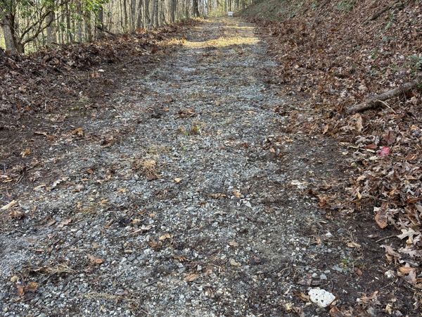 0 Amaryllis Lane, Tiger, GA 30576