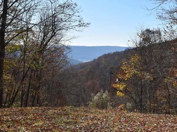 1454 Stage Coach Road, Sewanee, TN 37375