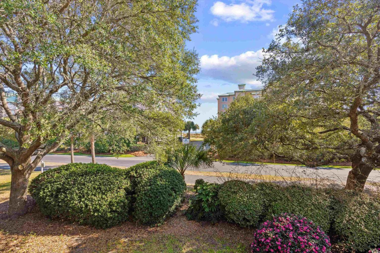 163 Heron Marsh Dr. Photo 25