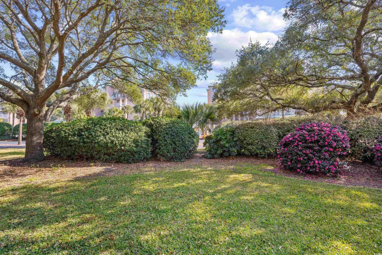 163 Heron Marsh Dr. Photo 28