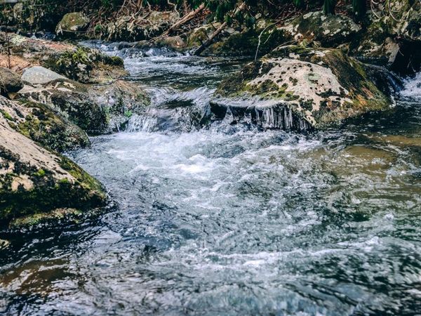 0 Bottom Creek RD , Bent Mountain, VA 24059