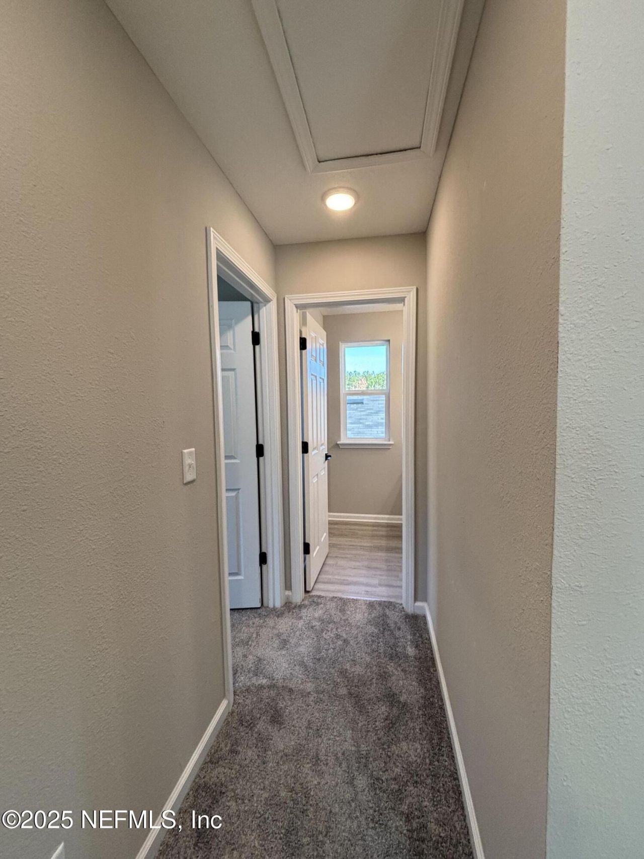 8268 Marietta Still Drive, Jacksonville, FL 32220 Photo