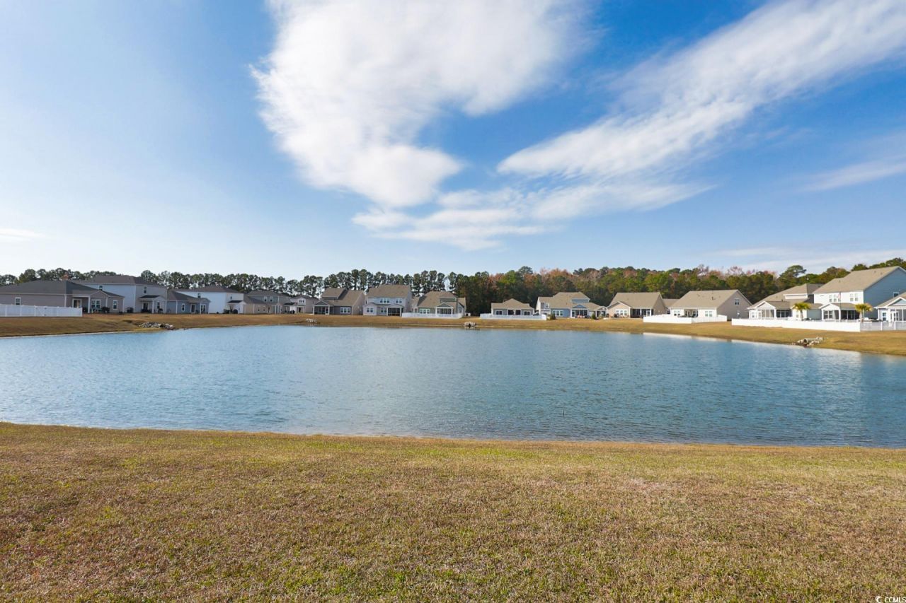 3312 Piney Woods Way Photo 20