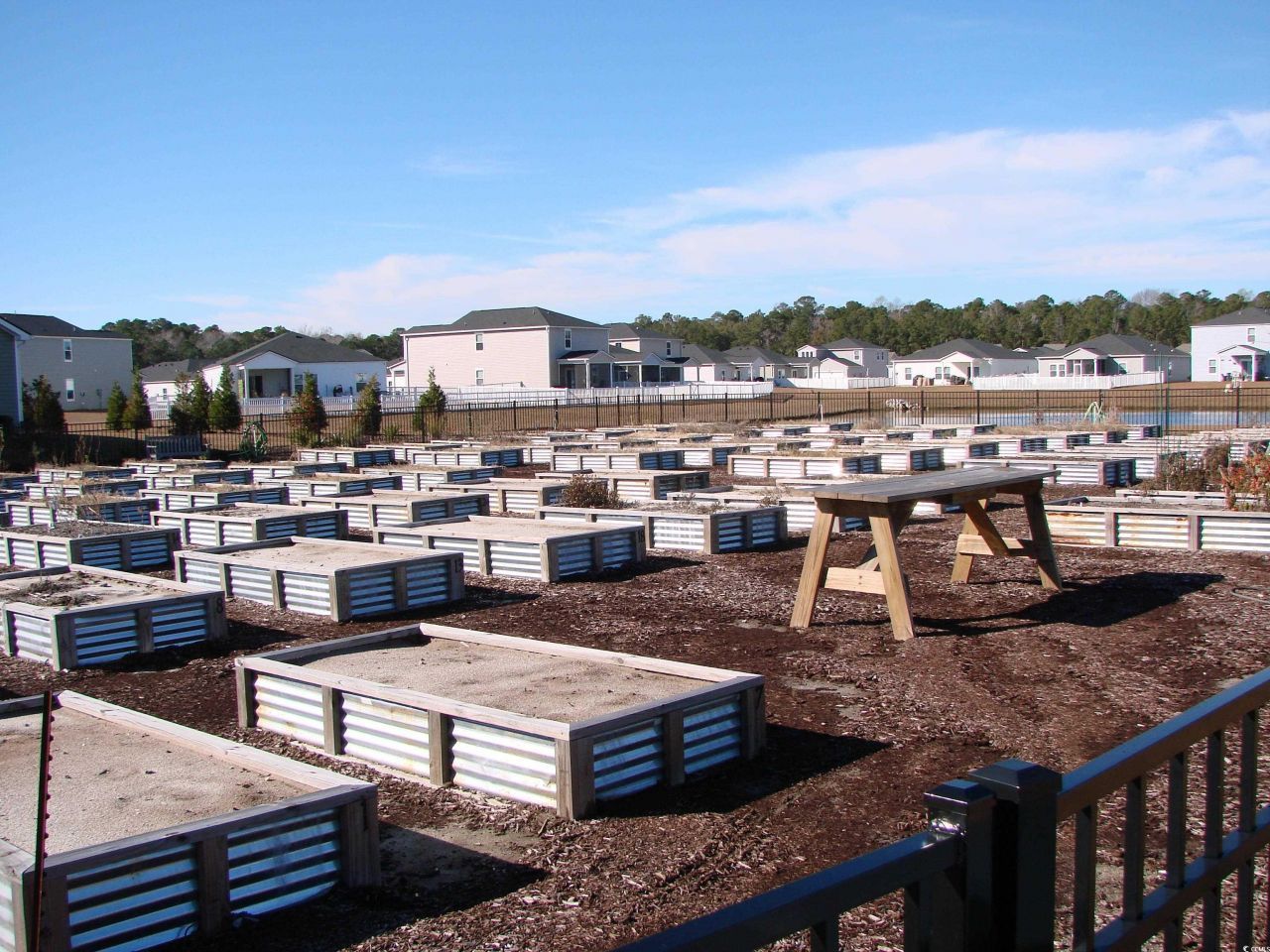 3312 Piney Woods Way Photo 33