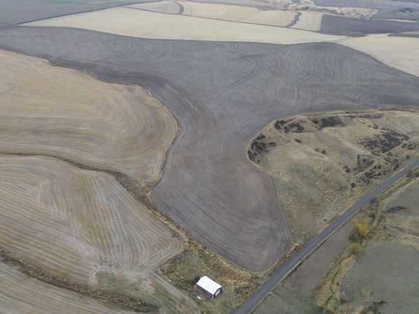 NKA Smith Gulch Rd, Pomeroy, WA 99347