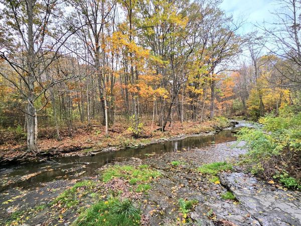 L53 Tarrytown Road, Clarksville, NY 12041