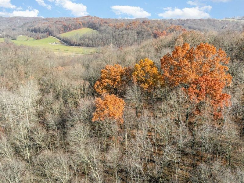 Frazeysburg, OH 43822 Photo 44