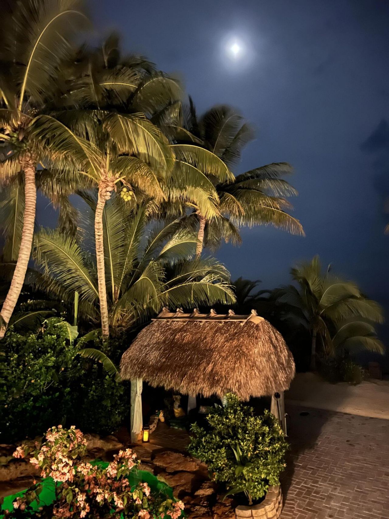 23941 Henry Street, Summerland Key, FL 33042 Photo