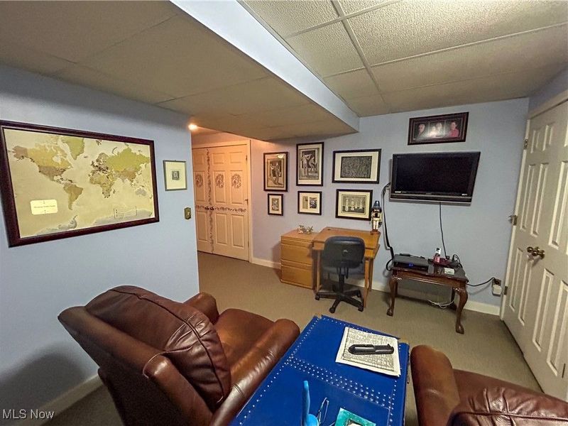 1115 Scoville North Road, Vienna, OH 44473 Photo 30