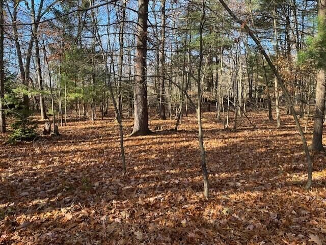 V/l Bedeau Street, Montague, MI 49437 Main Photo