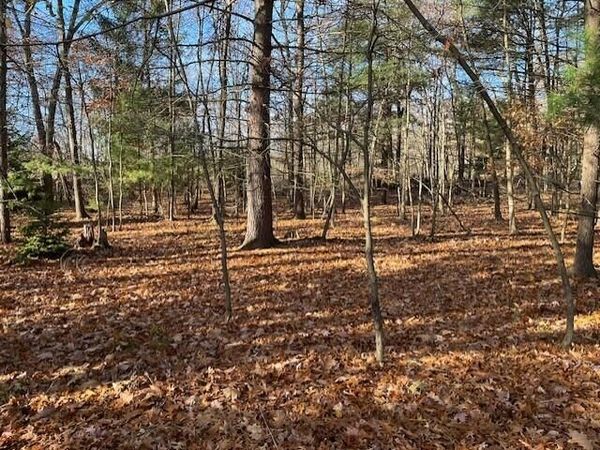 V/L Bedeau Street, Montague, MI 49437