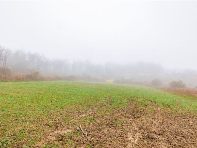 152 County Road 3, Rayland, OH 43943 Photo 10