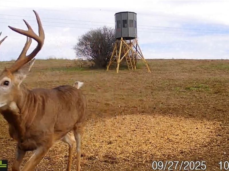 152 County Road 3, Rayland, OH 43943 Photo 11