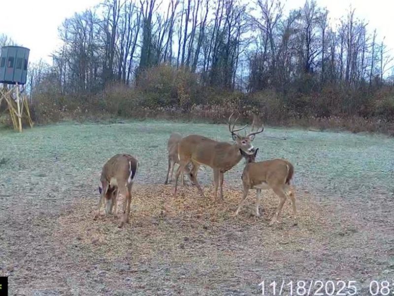 152 County Road 3, Rayland, OH 43943 Photo 12