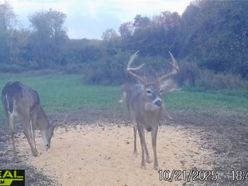 152 County Road 3, Rayland, OH 43943 Photo 14