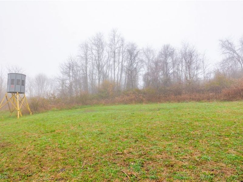 152 County Road 3, Rayland, OH 43943 Photo 15