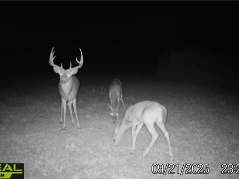 152 County Road 3, Rayland, OH 43943 Photo 18