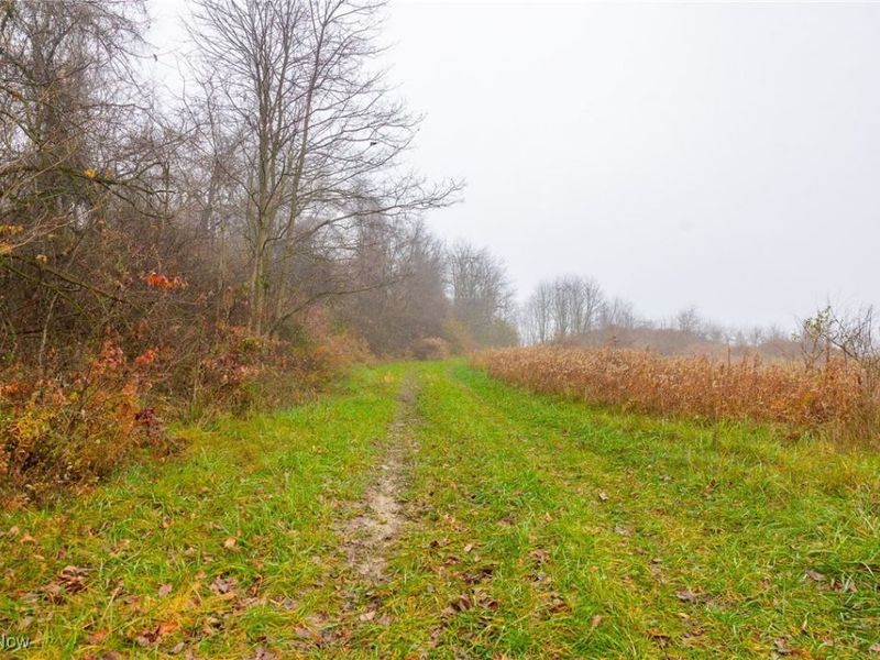 152 County Road 3, Rayland, OH 43943 Photo 2