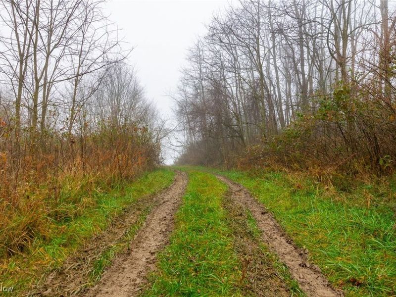 152 County Road 3, Rayland, OH 43943 Photo 20