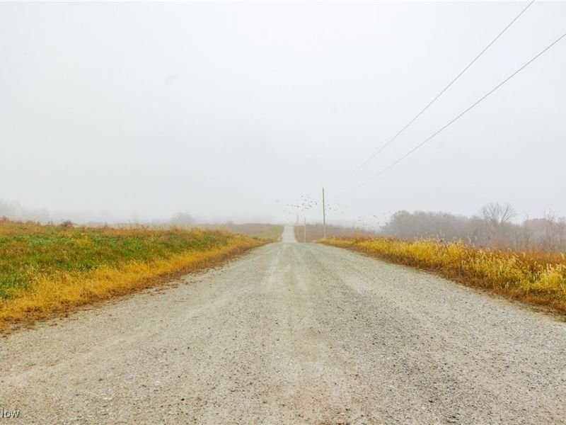 152 County Road 3, Rayland, OH 43943 Photo 22