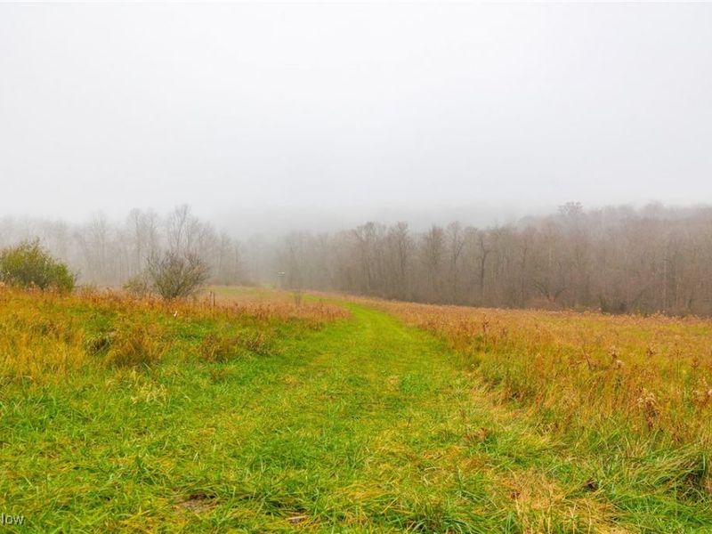 152 County Road 3, Rayland, OH 43943 Photo 25