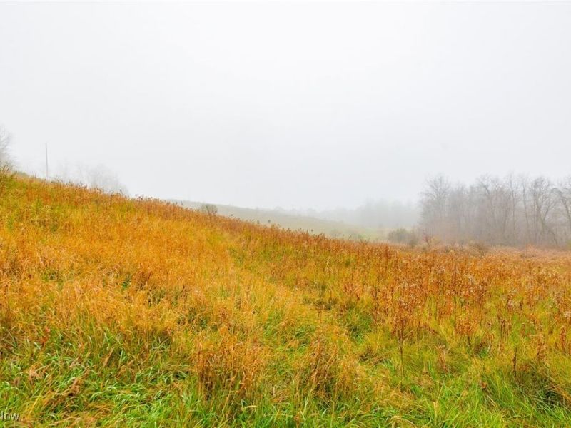 152 County Road 3, Rayland, OH 43943 Photo 27