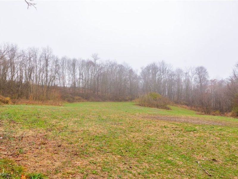 152 County Road 3, Rayland, OH 43943 Photo 29