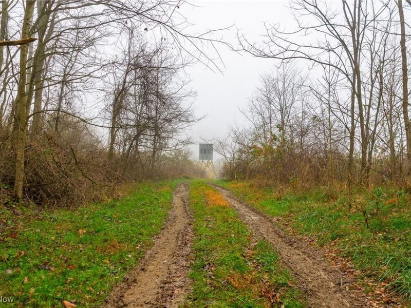 152 County Road 3, Rayland, OH 43943 Photo 3