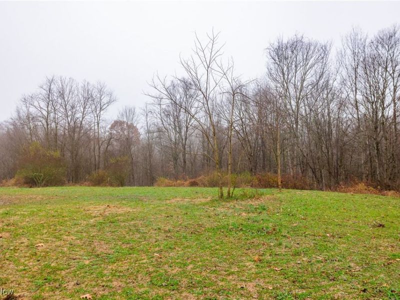 152 County Road 3, Rayland, OH 43943 Photo 30