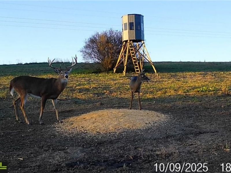 152 County Road 3, Rayland, OH 43943 Photo 33