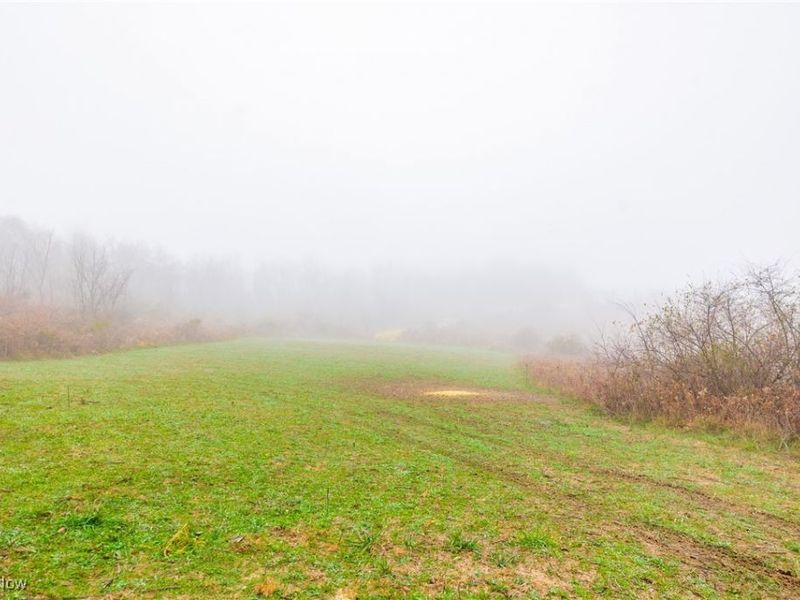 152 County Road 3, Rayland, OH 43943 Photo 7