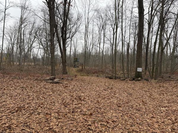 Burtch Road, Grass Lake, MI 49240