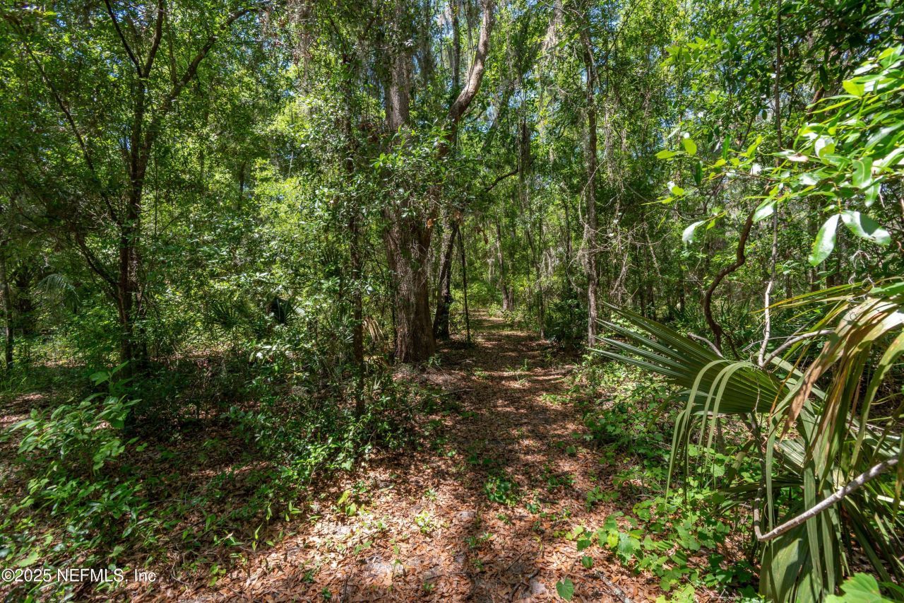 943 S County Road 21, Hawthorne, FL 32640 Photo