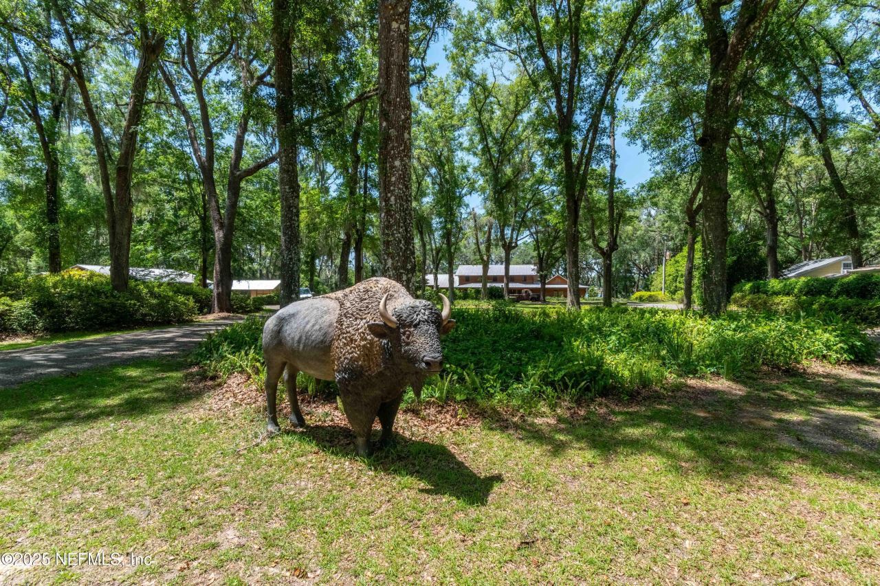 943 S County Road 21, Hawthorne, FL 32640 Photo