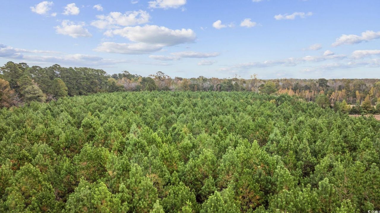 Lots 3-9 Creek Landing Rd Photo 15