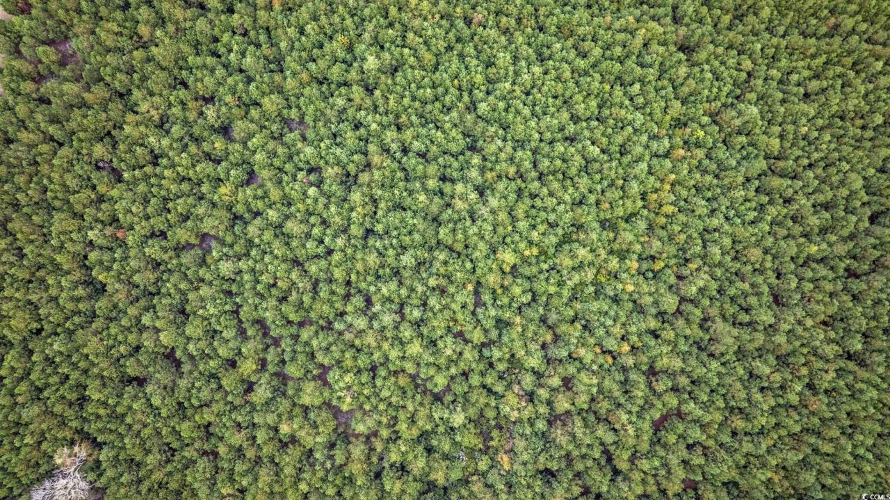 Lots 3-9 Creek Landing Rd Photo 16