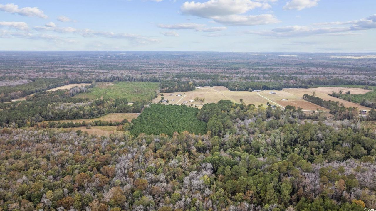 Lots 3-9 Creek Landing Rd Photo 6